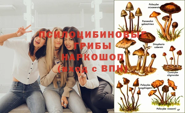 экстази Каменка