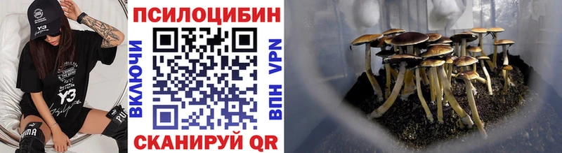Галлюциногенные грибы GOLDEN TEACHER  Купить закладки  Дудинка 